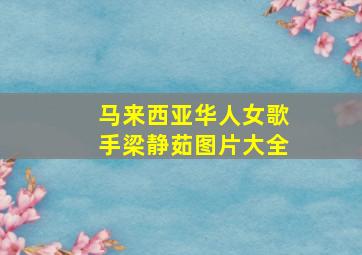 马来西亚华人女歌手梁静茹图片大全