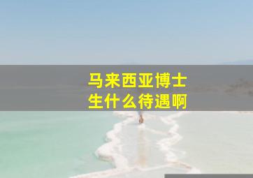 马来西亚博士生什么待遇啊