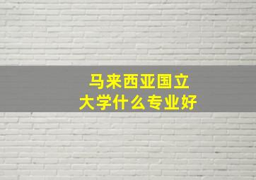 马来西亚国立大学什么专业好