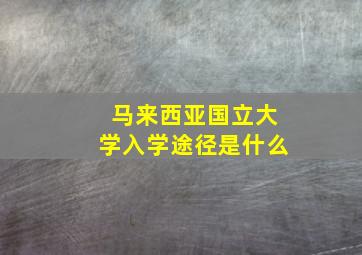 马来西亚国立大学入学途径是什么