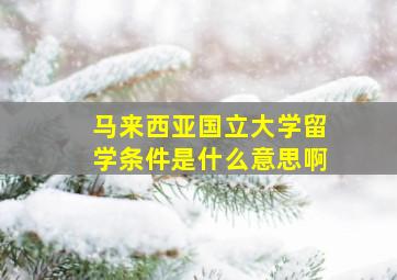 马来西亚国立大学留学条件是什么意思啊