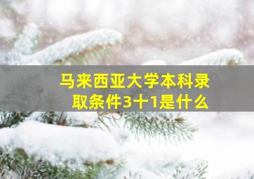 马来西亚大学本科录取条件3十1是什么