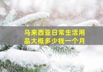 马来西亚日常生活用品大概多少钱一个月