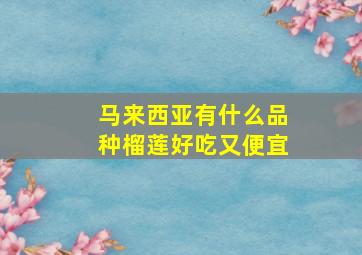 马来西亚有什么品种榴莲好吃又便宜