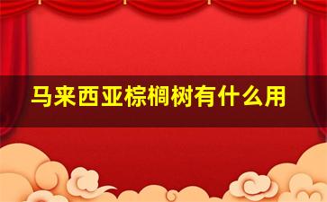 马来西亚棕榈树有什么用