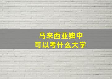 马来西亚独中可以考什么大学