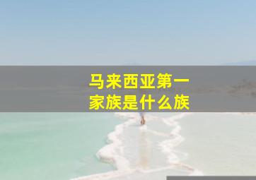 马来西亚第一家族是什么族