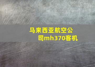 马来西亚航空公司mh370客机