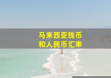 马来西亚钱币和人民币汇率