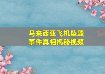 马来西亚飞机坠毁事件真相揭秘视频