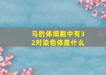 马的体细胞中有32对染色体是什么