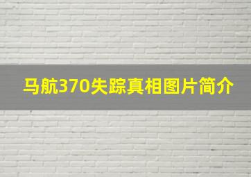 马航370失踪真相图片简介