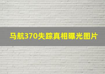 马航370失踪真相曝光图片