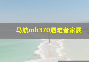 马航mh370遇难者家属