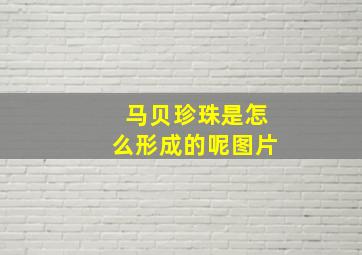 马贝珍珠是怎么形成的呢图片