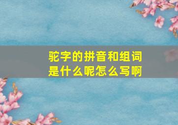 驼字的拼音和组词是什么呢怎么写啊