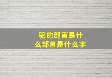 驼的部首是什么部首是什么字