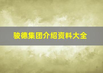 骏德集团介绍资料大全