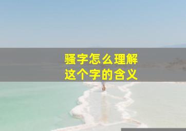 骚字怎么理解这个字的含义