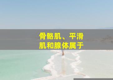 骨骼肌、平滑肌和腺体属于