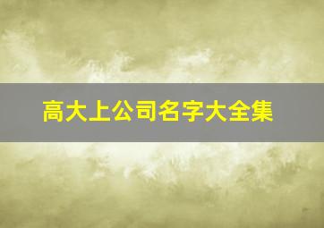 高大上公司名字大全集