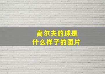 高尔夫的球是什么样子的图片