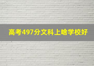 高考497分文科上啥学校好