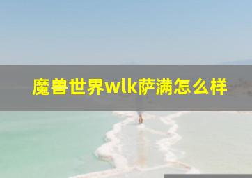 魔兽世界wlk萨满怎么样