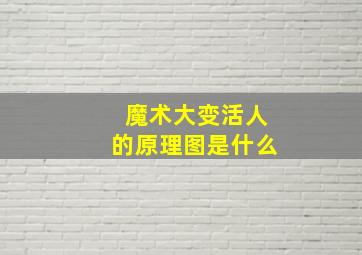 魔术大变活人的原理图是什么