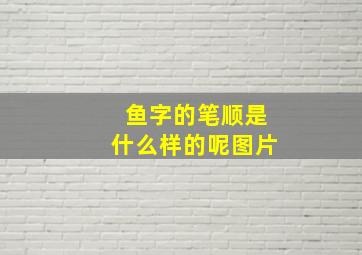 鱼字的笔顺是什么样的呢图片