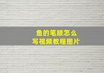 鱼的笔顺怎么写视频教程图片