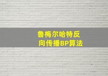 鲁梅尔哈特反向传播BP算法