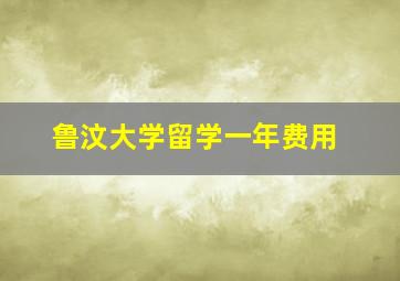 鲁汶大学留学一年费用