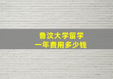 鲁汶大学留学一年费用多少钱