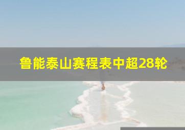 鲁能泰山赛程表中超28轮