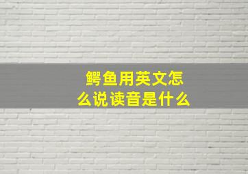 鳄鱼用英文怎么说读音是什么