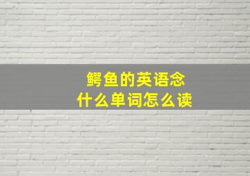 鳄鱼的英语念什么单词怎么读