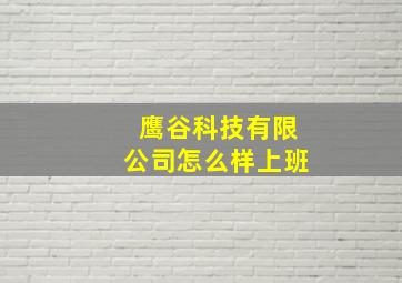 鹰谷科技有限公司怎么样上班