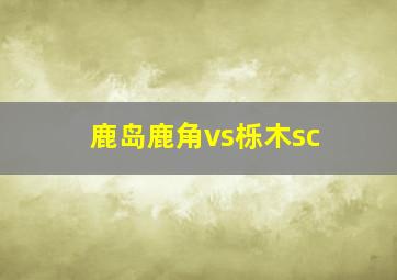 鹿岛鹿角vs栎木sc