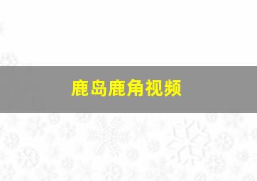 鹿岛鹿角视频