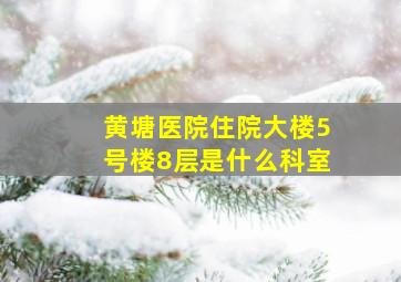 黄塘医院住院大楼5号楼8层是什么科室