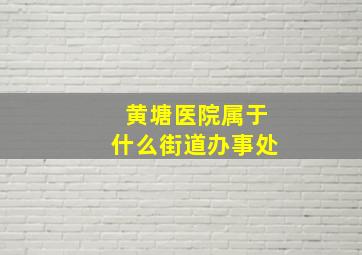 黄塘医院属于什么街道办事处