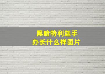 黑暗特利迦手办长什么样图片