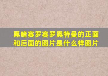 黑暗赛罗赛罗奥特曼的正面和后面的图片是什么样图片