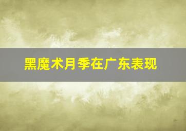 黑魔术月季在广东表现