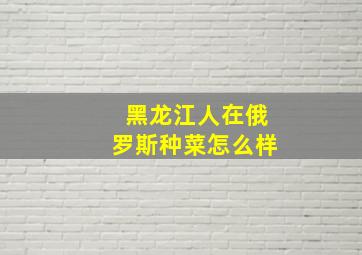 黑龙江人在俄罗斯种菜怎么样