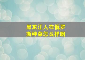 黑龙江人在俄罗斯种菜怎么样啊