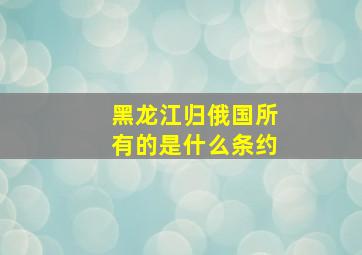 黑龙江归俄国所有的是什么条约