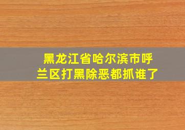 黑龙江省哈尔滨市呼兰区打黑除恶都抓谁了