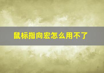 鼠标指向宏怎么用不了